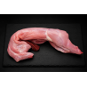 LAPIN