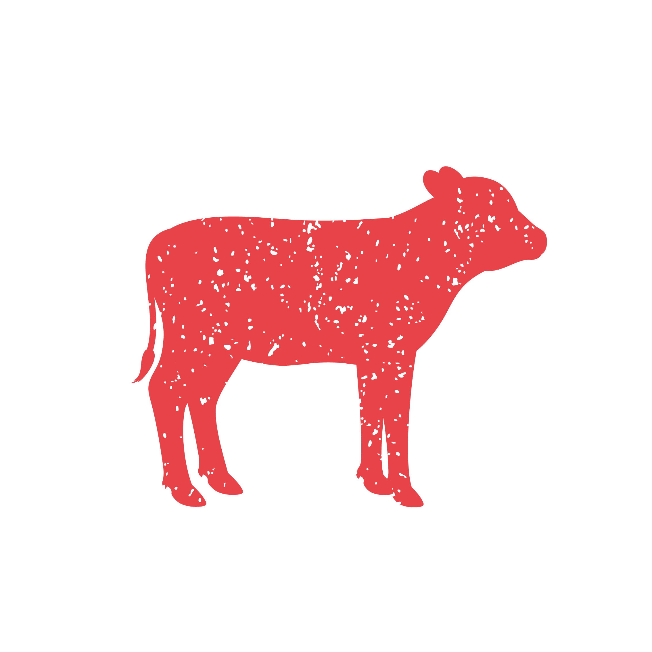 Veau